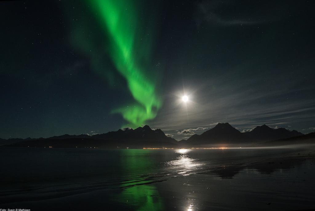 Gamtunet Lyngen Svensby Extérieur photo